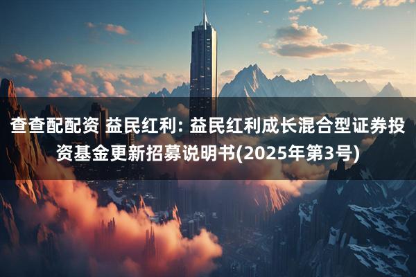 查查配配资 益民红利: 益民红利成长混合型证券投资基金更新招募说明书(2025年第3号)