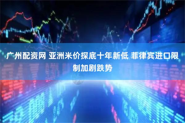 广州配资网 亚洲米价探底十年新低 菲律宾进口限制加剧跌势
