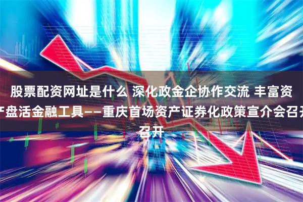 股票配资网址是什么 深化政金企协作交流 丰富资产盘活金融工具——重庆首场资产证券化政策宣介会召开
